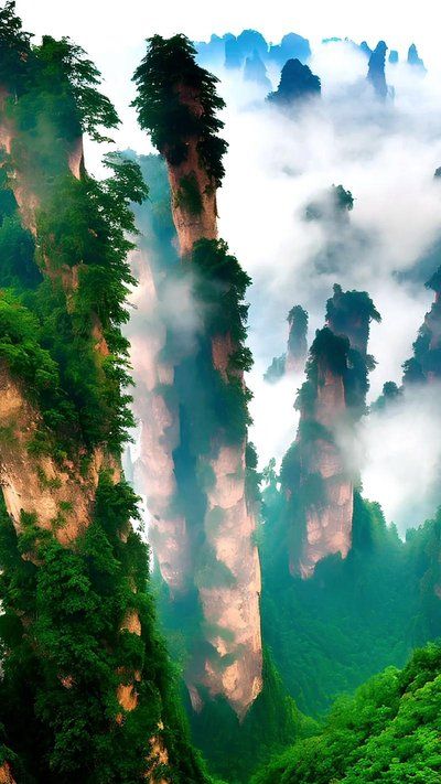 张家界家庭游攻略:三大旅行社特色 + 特产购物指南游玩更尽兴